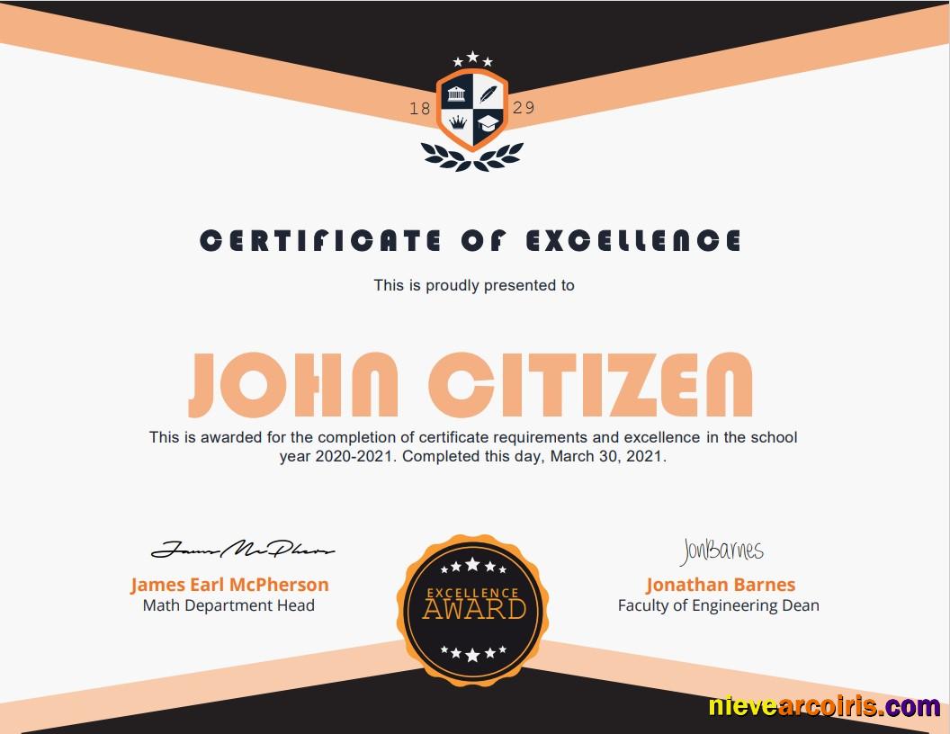 USA Academic Certificate